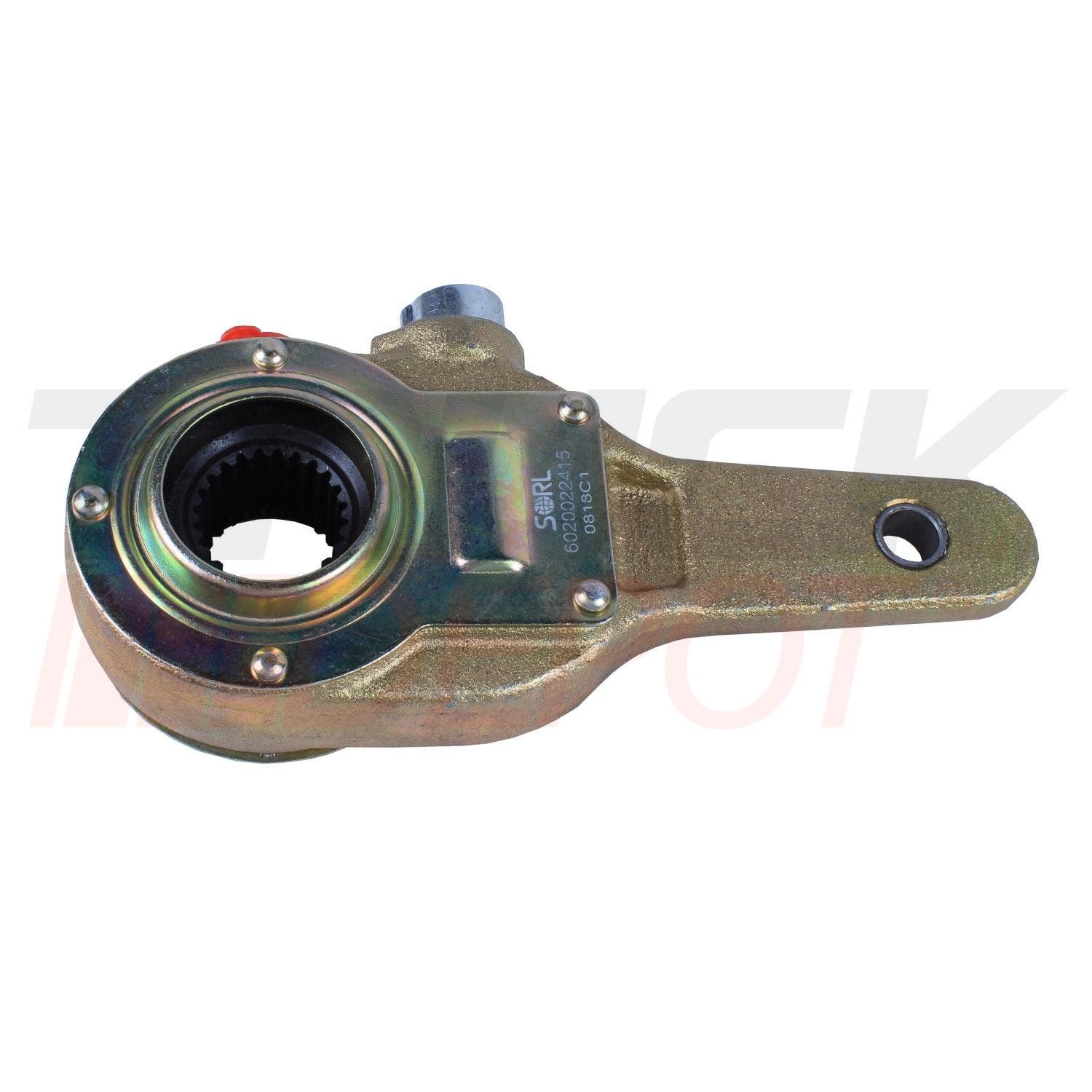 Ratch de freno 1 1/4 Ff 24 dientes