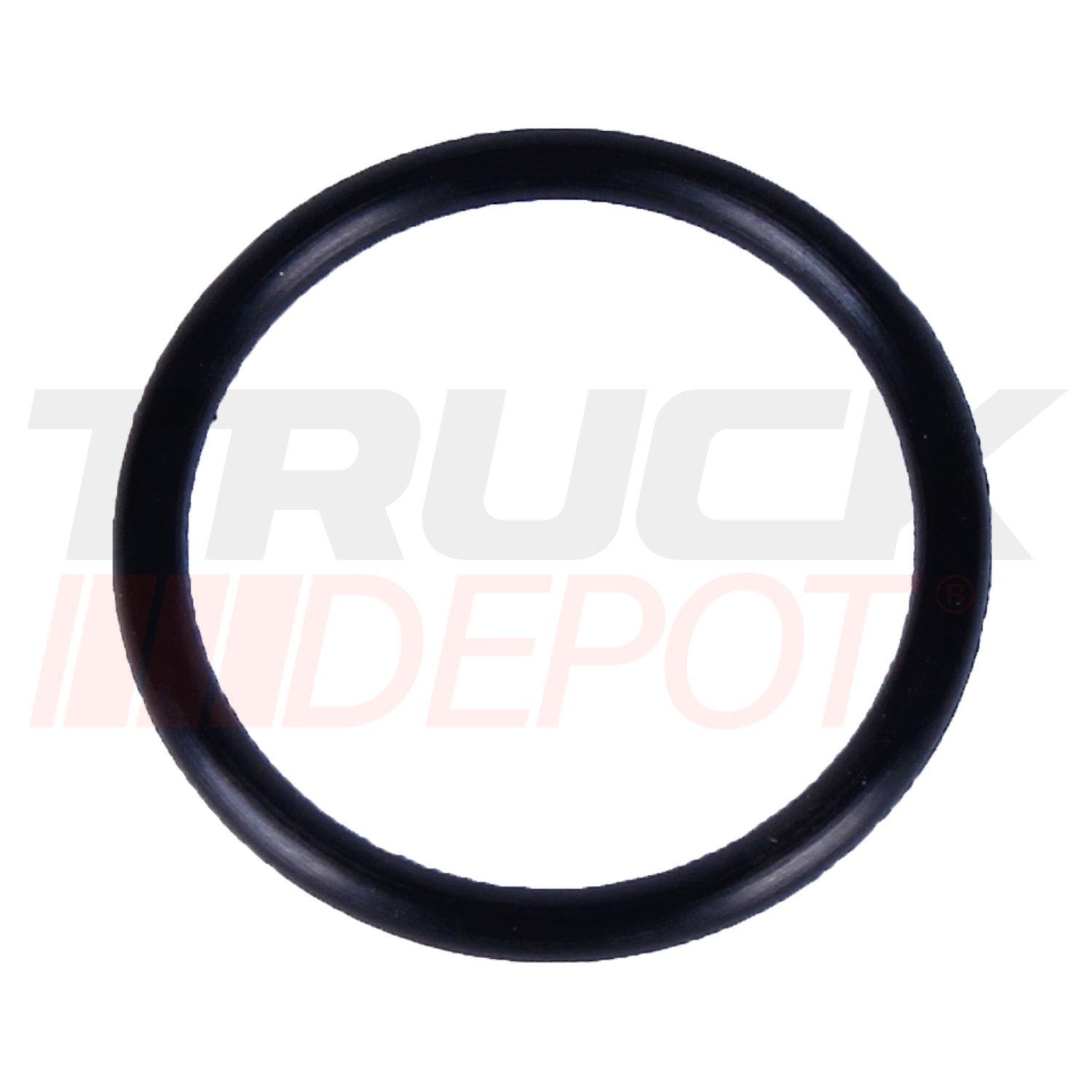 O-ring de punta inyector S60