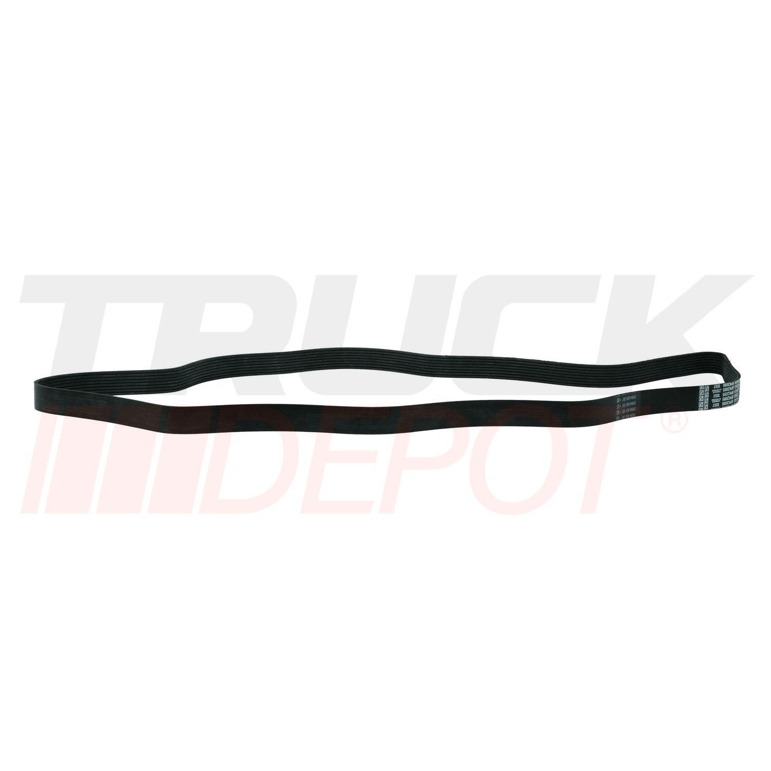 Banda de 8 canales motor inter DT466 ventil/ altern 2005-2007