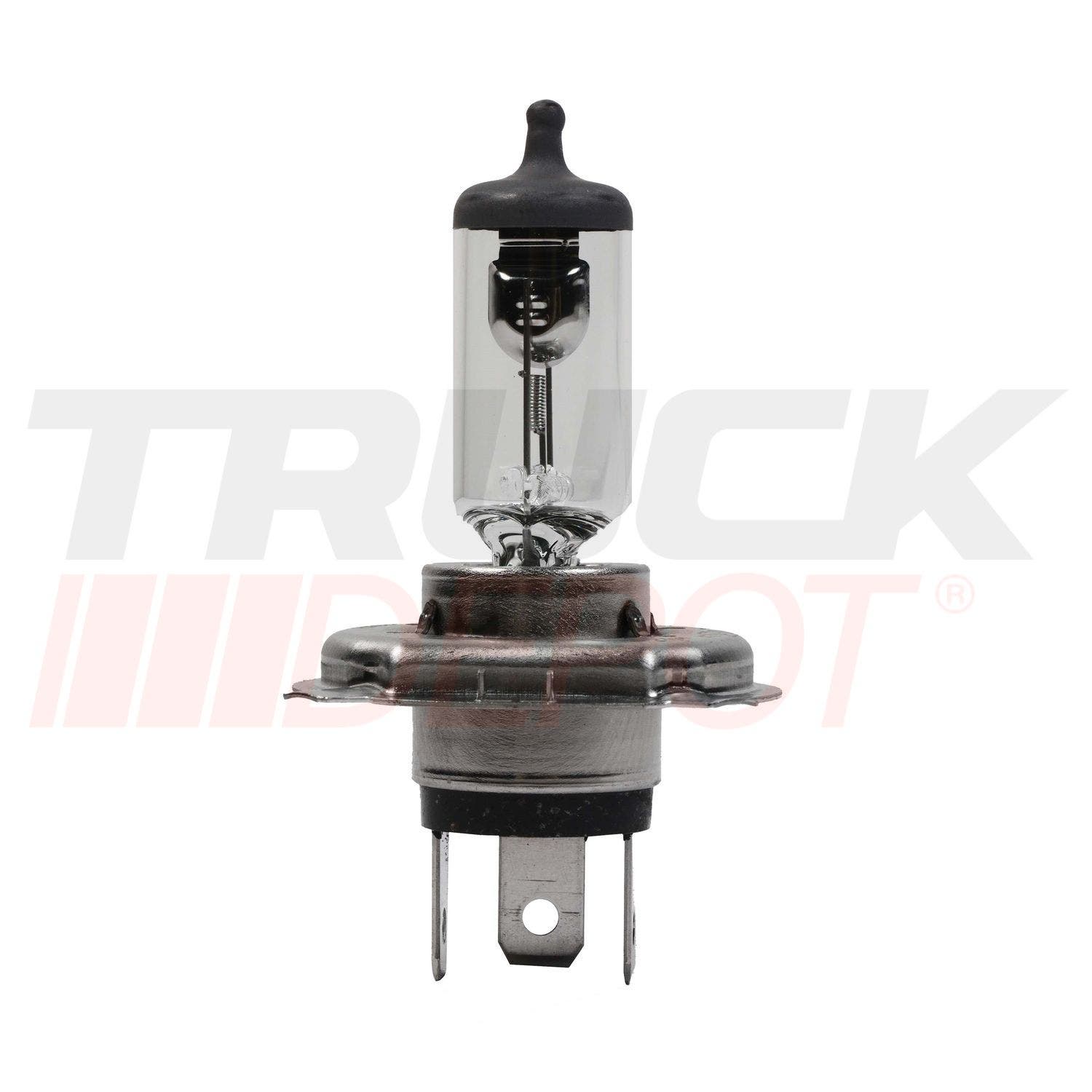 Halógeno H7 12V 55W