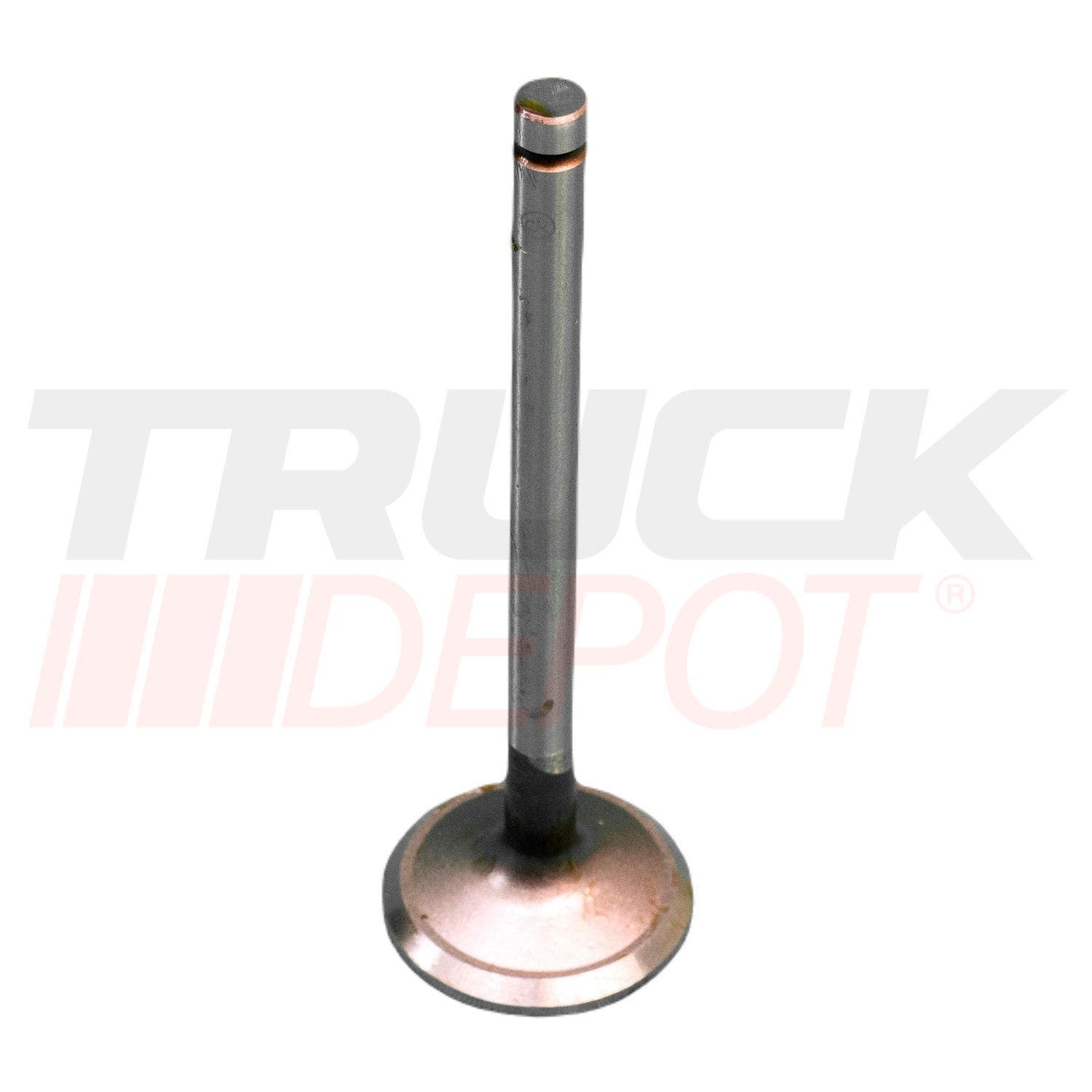 Válvula de escape motor H07C/H06